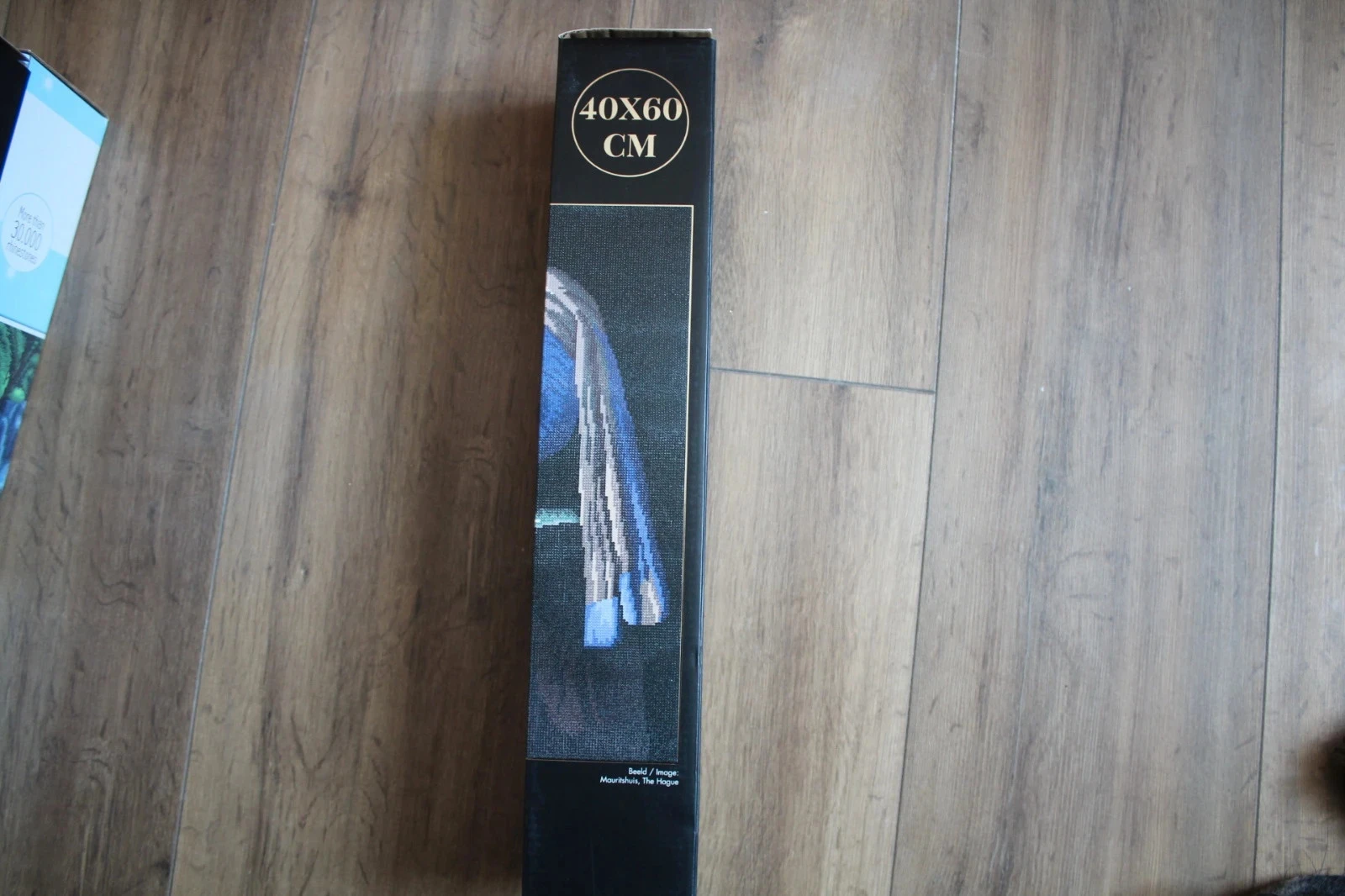 Kit Diamond Painting "Old Masters" La Jeune Fille à la Perle – photo 2